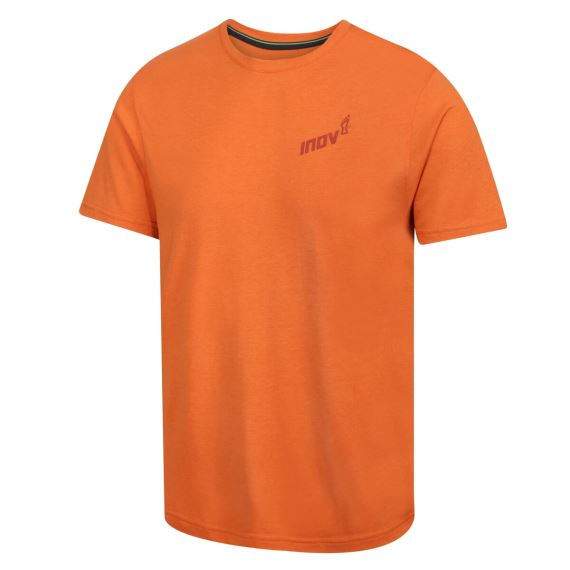 Pánske tričko Inov-8 Graphic Tee "Brand" M orange